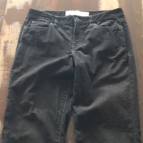 Loft Brown Cords- Size 6 Tall -  Original Boot - Picture 2 of 9